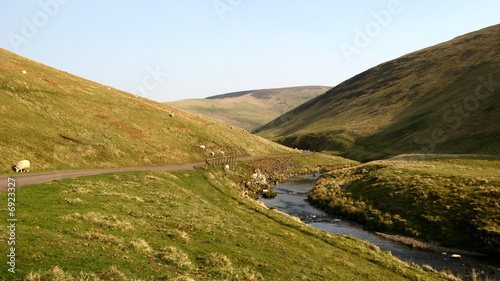 Foto Cheviot hills