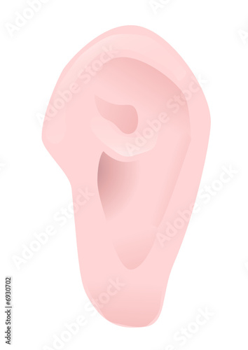 Oreille humaine