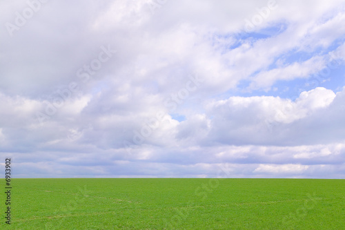 Green field and cloudy sky © RTimages