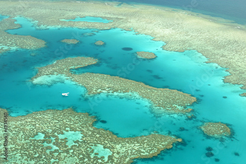 Barriera corallina australiana photo