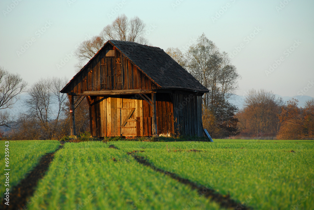 Obraz premium Holzhütte im Feld