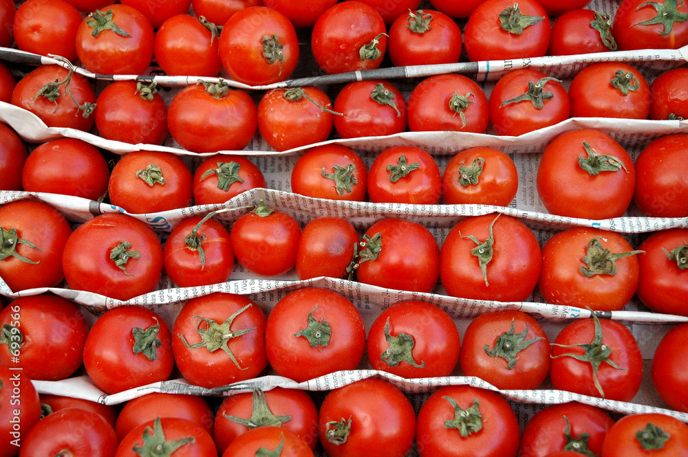 Tomaten satt