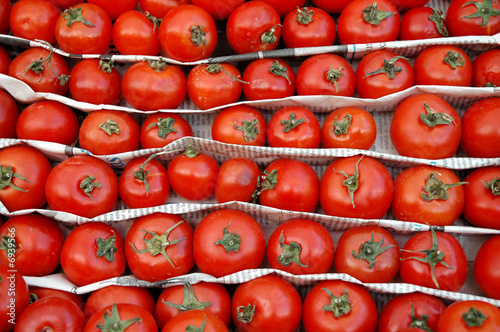 Obraz na płótnie Tomaten satt w salonie