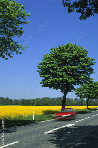 ROUTE DE CAMPAGNE