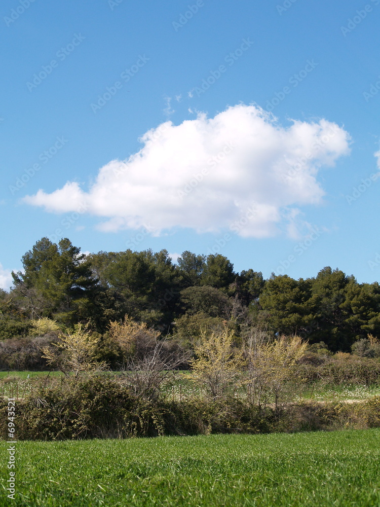 Obraz premium ciel provence