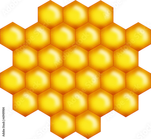 little honey bee comb