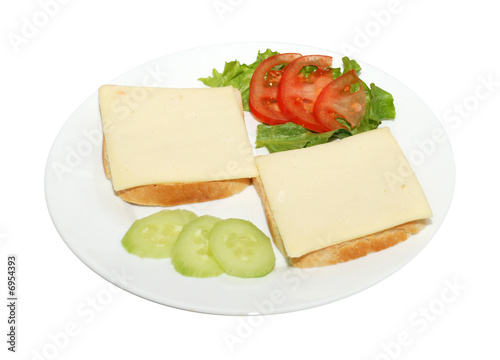 sandwich on a plain background