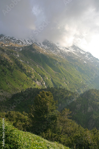 Alpine nature