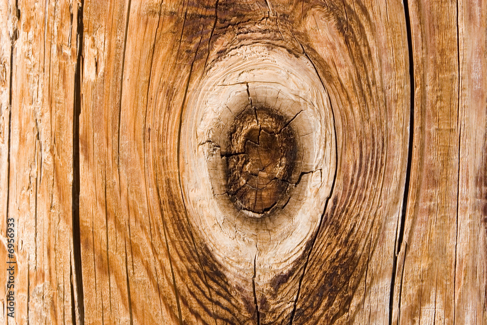 Fototapeta premium Wood detail