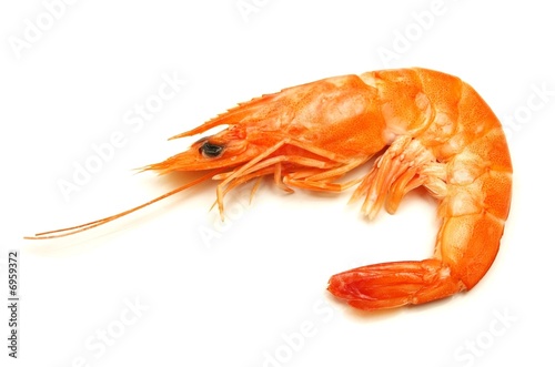 Crevette