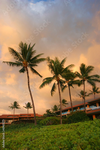 Sunset in Maui resort © cphoto
