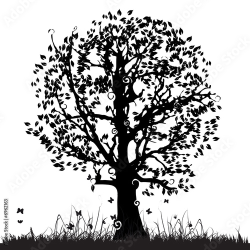 Tree silhouette old, grass, summer
