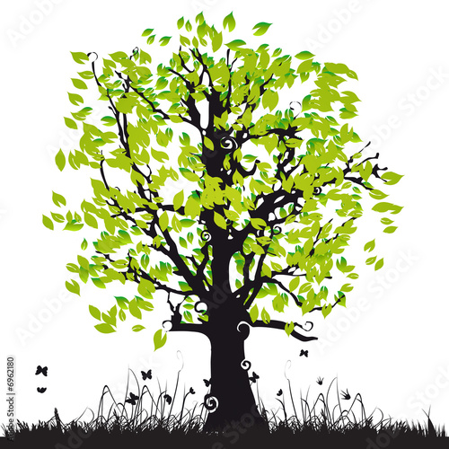 Tree silhouette old, grass, summer