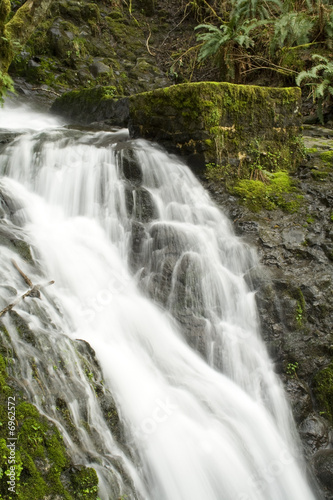 Fototapeta Naklejka Na Ścianę i Meble -  Oregon Waterfall