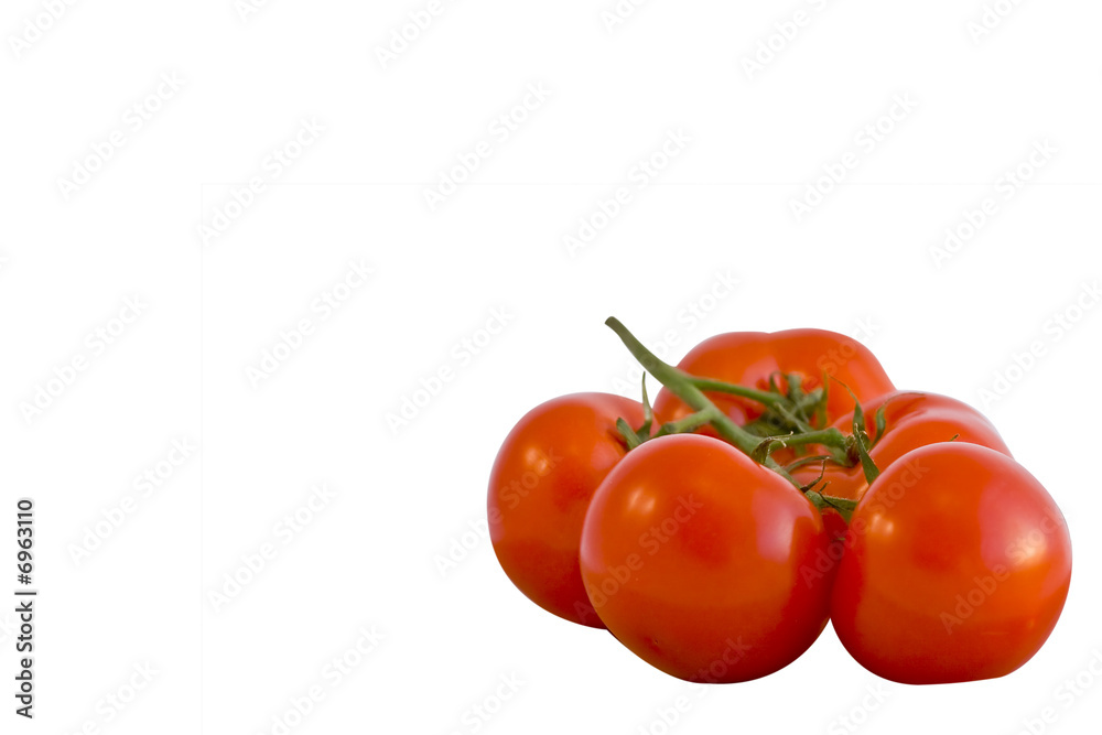 Tomatoes on the vine Tomatoes on the vine
