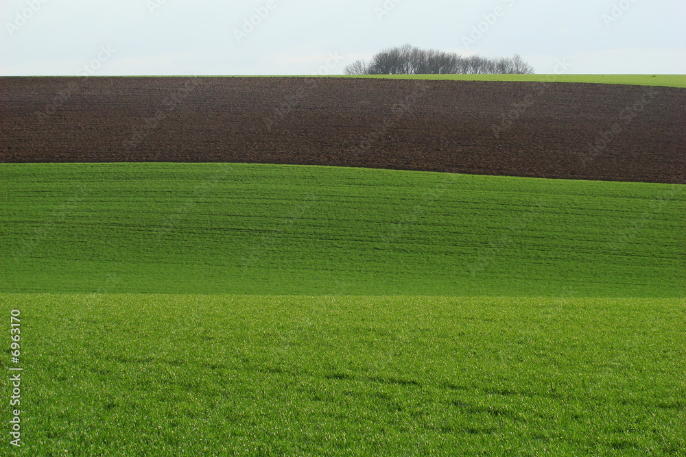 Obraz premium Champ cultivé dans l'Aisne, Picardie