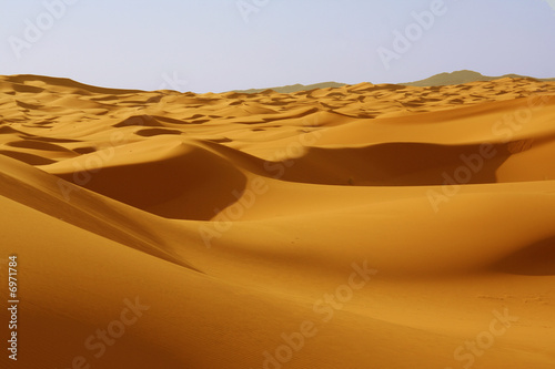 Dunes in Sahara desert