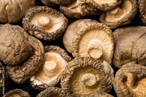 Dried Shiitake Mushrooms (Lentinula edodes)