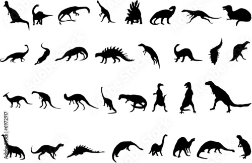 Vector silhouettes