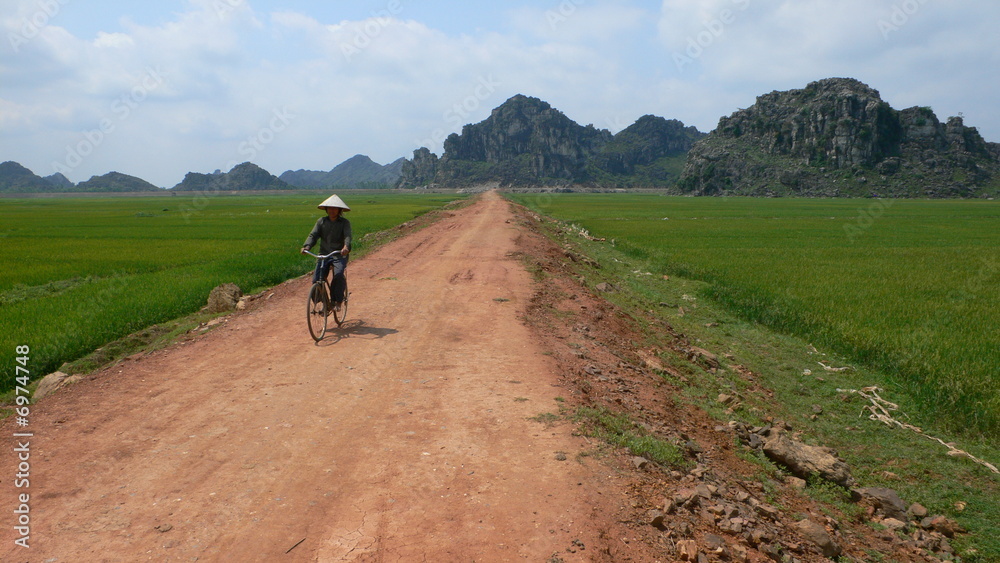 vélo au milieu des rizières - vietnam