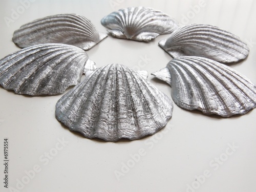 coquillage