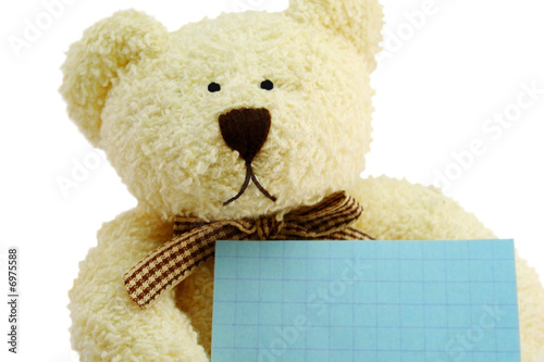Teddy the Bear