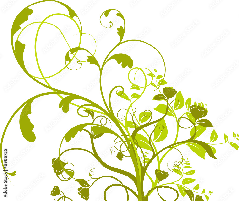  vecteur série - plante à fleurs isolé sur fond blanc