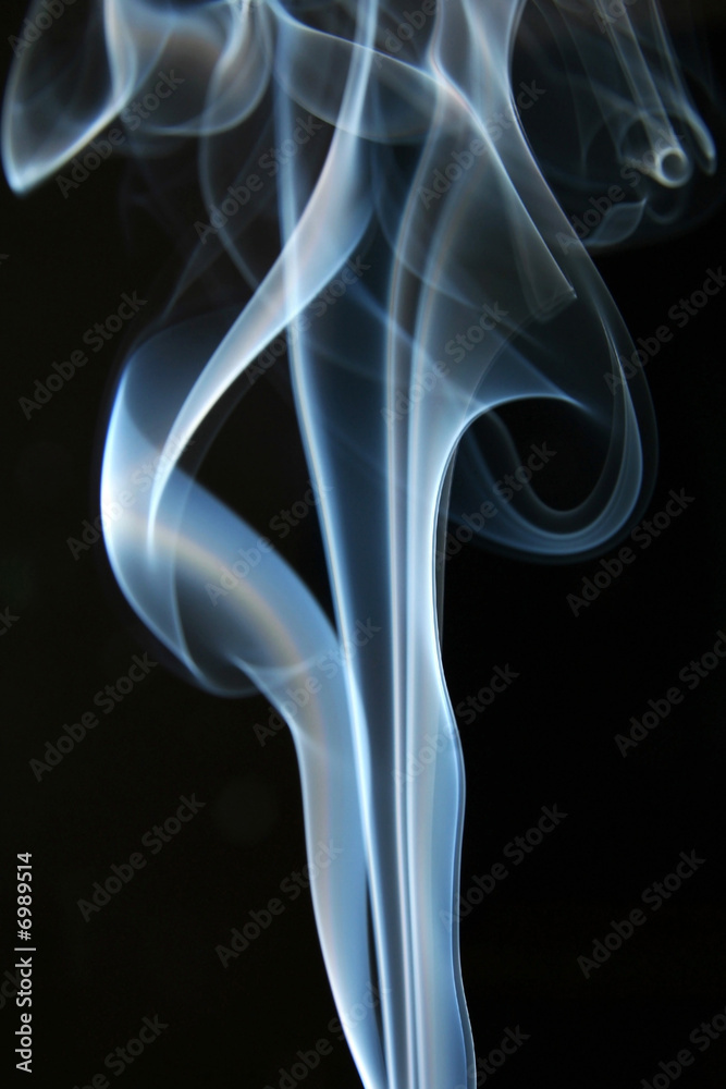Fototapeta premium Smoke