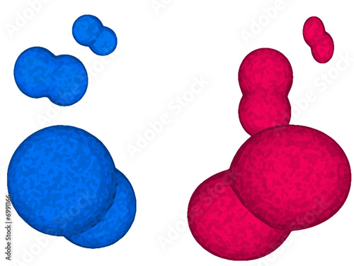 Molecules on White