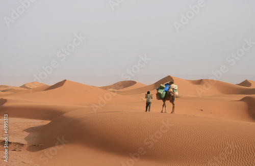 Randonn  e chameli  re dans le Sahara