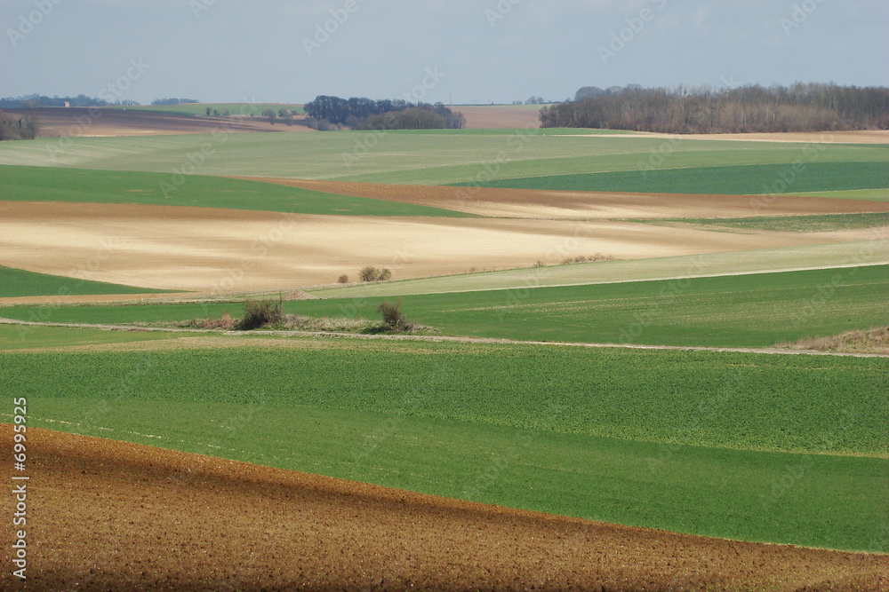 Champs cultivés dans l'Aisne,Picardie