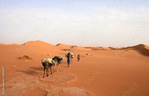 Méharée dans le Sahara marocain