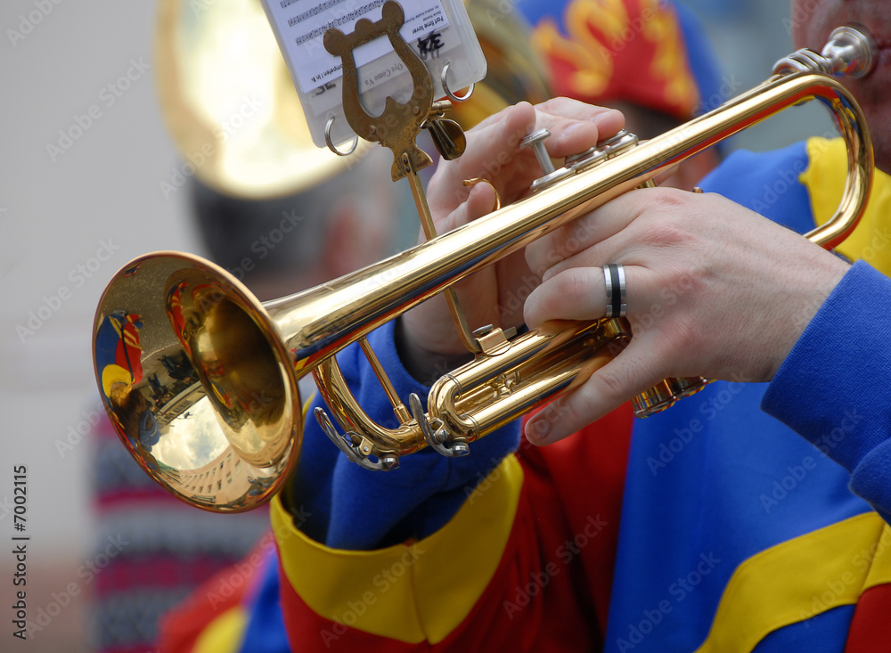 Εκτύπωση καμβά fanfare
