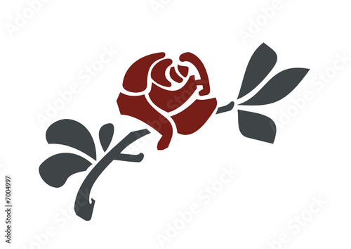Rosa