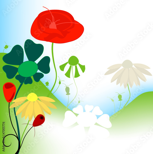 flowers