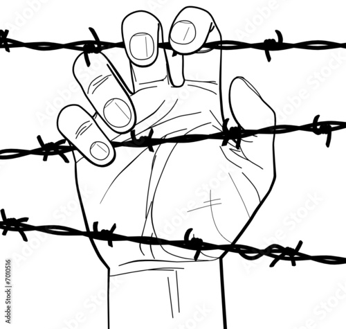 Closeup of a hand on barbed wire
