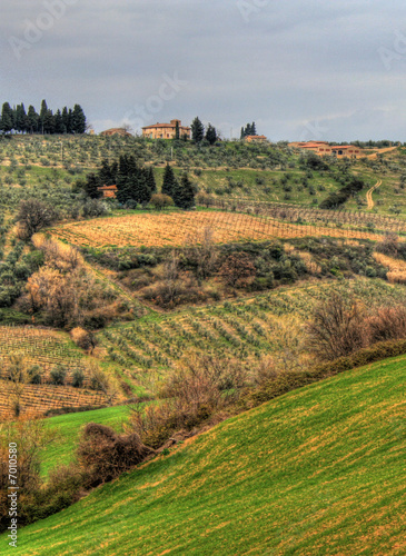 Tuscany   Italy - Chianti 