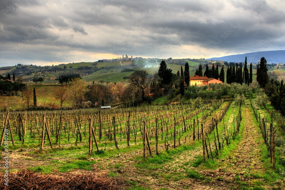Fotografie Tuscany / Italy - Chianti