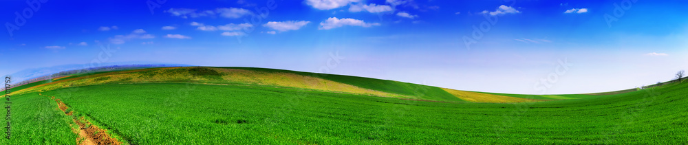 Landscape panoramic 2