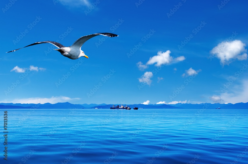 Obraz premium Coastal view