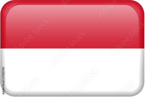 Indonesia Flag Button