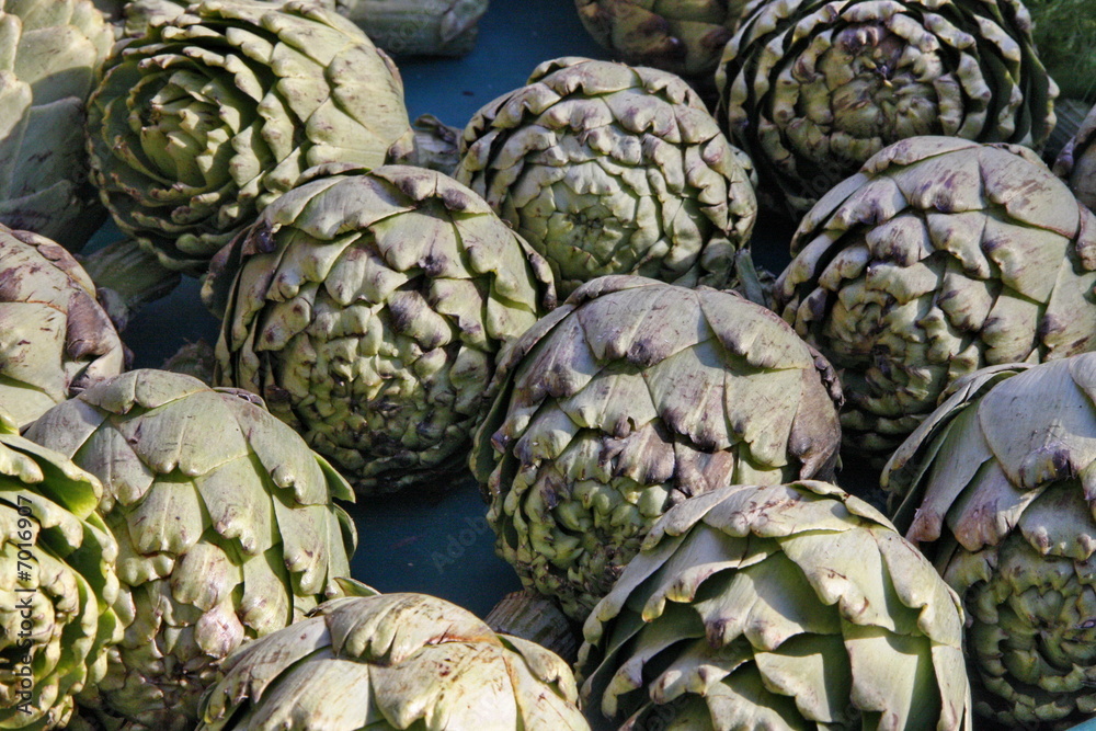 Obraz premium Artichaut