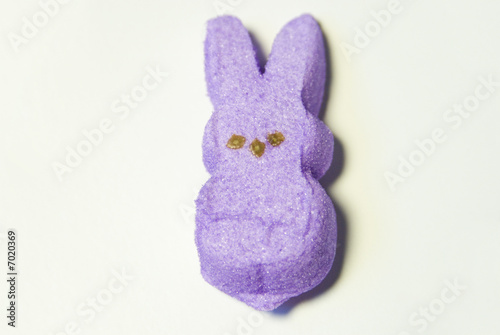 single marshmallow bunny
