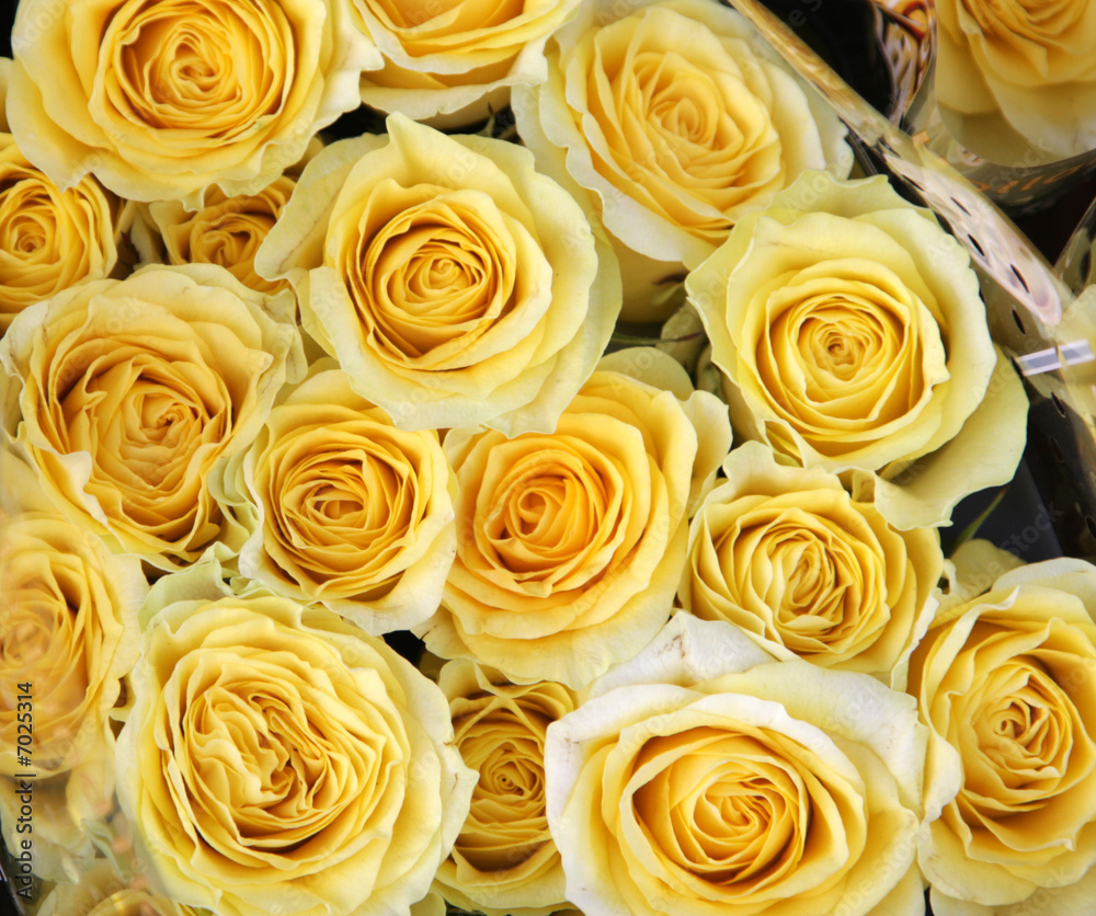 flower shop