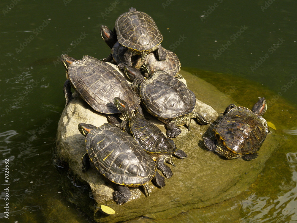 Fototapeta premium overbooking 2