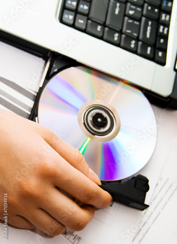 human hands and business laptop