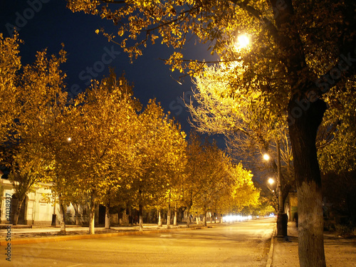 Autumn empty street at the night