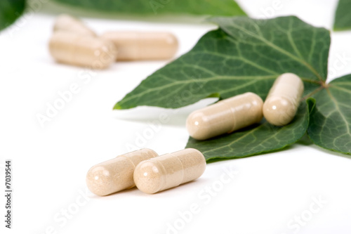 Herbal supplements