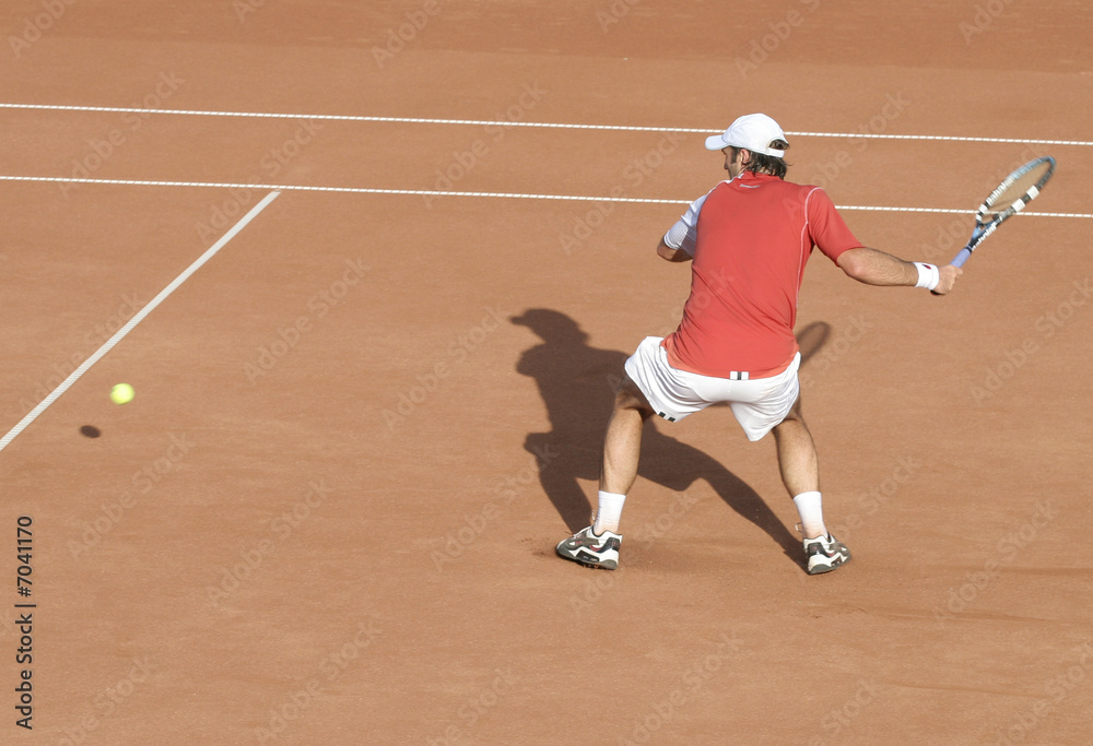 Fototapeta premium Tennis player