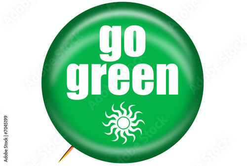 Go Green Solar Pin 2
